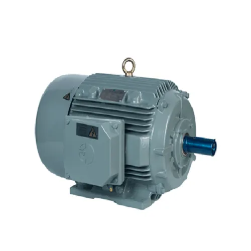 Crompton Greaves Three Phase Motor
